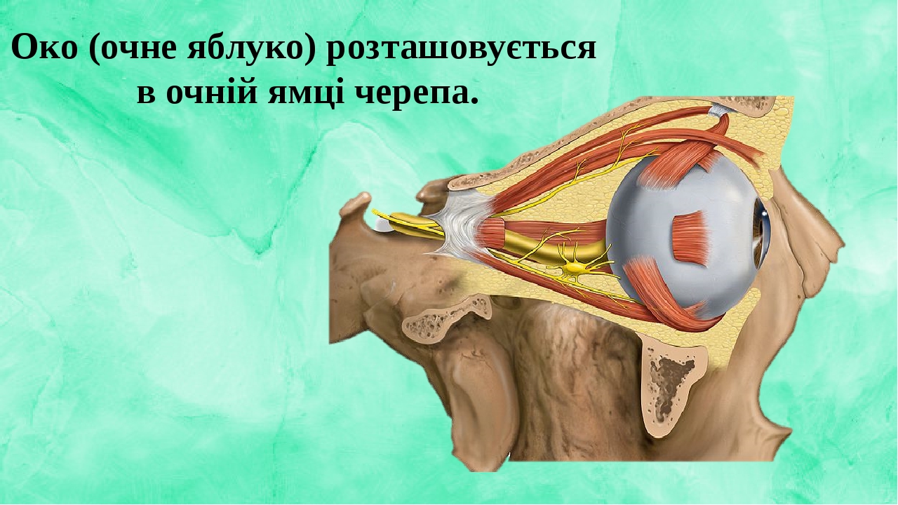 Игра око в око