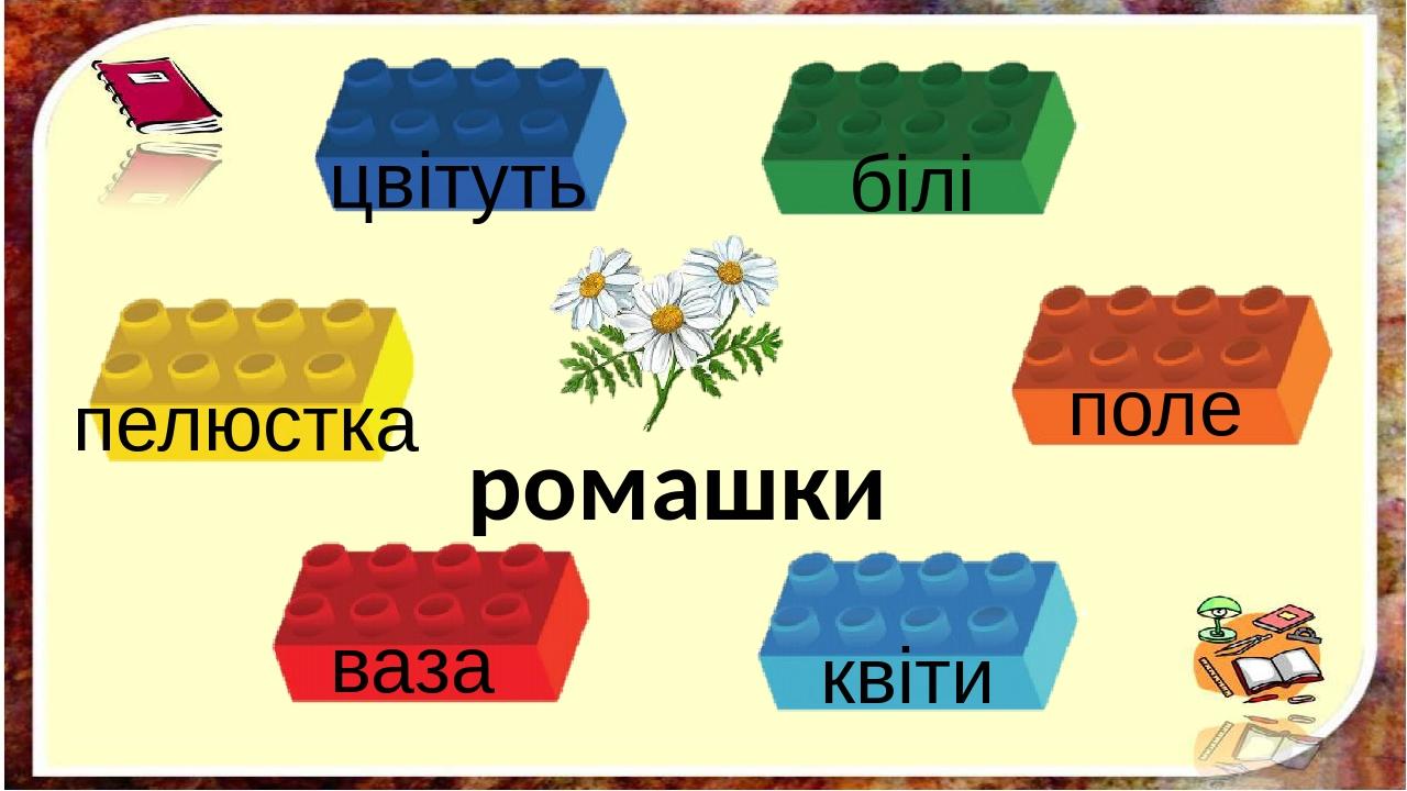 ромашки білі цвітуть поле пелюстка ваза квіти