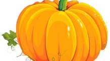 "Пан Гарбуз та його друзі" ("Mr. Pumpkin and his friends") Конспект заняття для дітей старшої групи (англійська мова)
