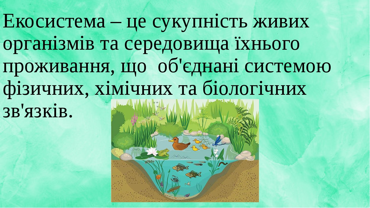 Презентація на тему: "Екосистема. Різноманітність екосистем ...