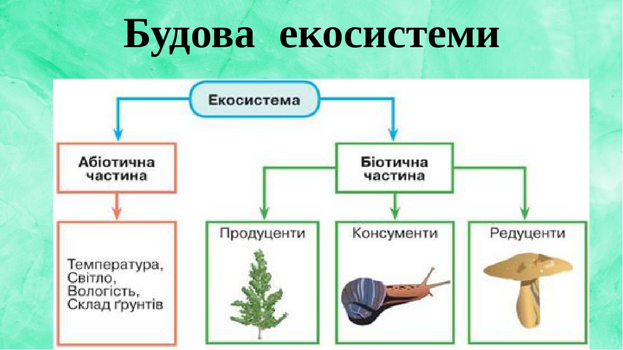 Презентація на тему: "Екосистема. Різноманітність екосистем ...