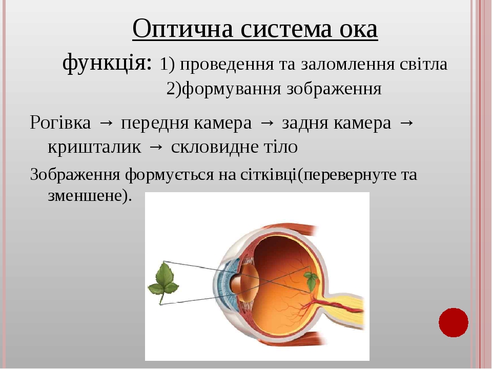Камера на оку