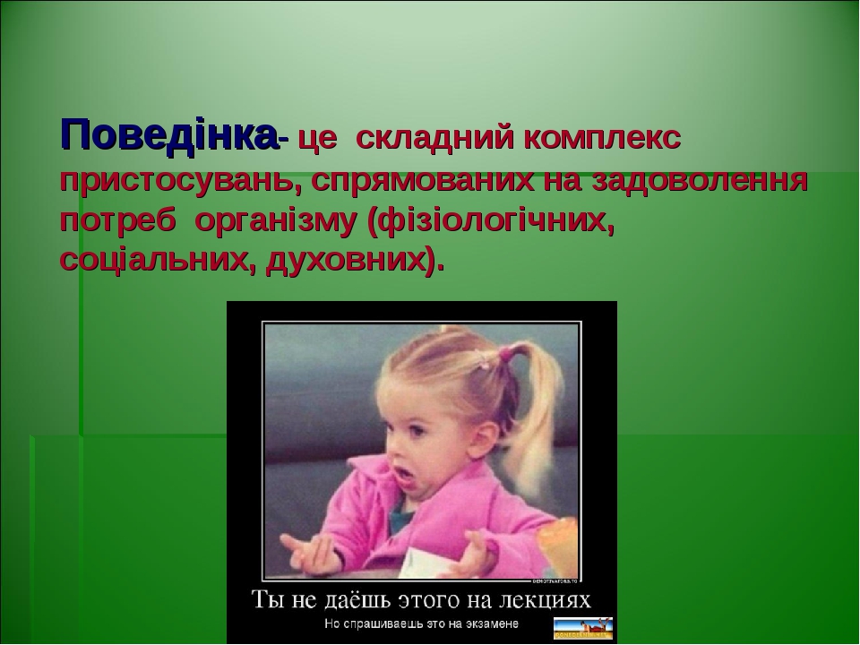 Поведінка- це складний комплекс пристосувань, спрямованих на задоволення потреб організму (фізіологічних, соціальних, духовних).