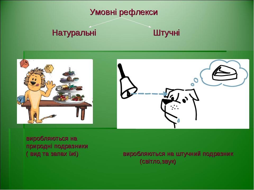 Умовні рефлекси Натуральні Штучні виробляються на природні подразники ( вид та запах їжі) виробляються на штучний подразник (світло,звук)