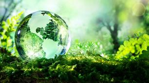  Nature and Environment. Vocabulary.