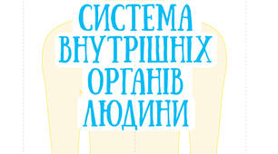 Система органів людини