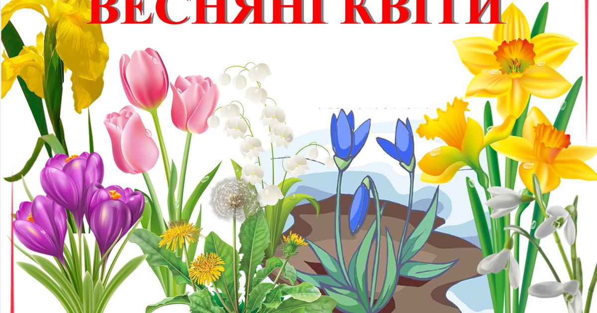 Весняні букети, букет весняних квітів - купити у Львові - Kvitna