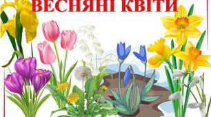 Демонстраційний матеріал "Весняні квіти"