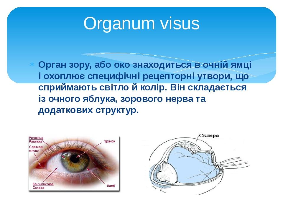 Ослепительное око зула