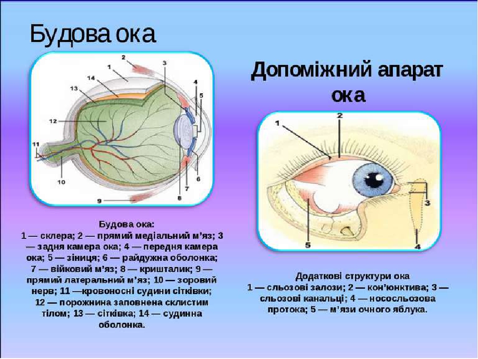 Усиленное око зула