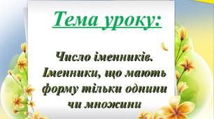 Конспект уроку на тему: "Число іменників. Іменники, що мають лише форму однини або множини"