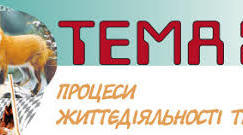 Процеси життєдіяльності тварин