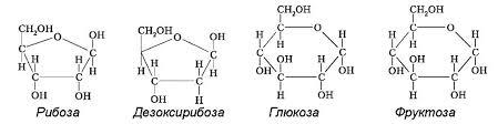 0100btk9-60b9-449x112.jpg