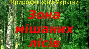 Українське Полісся