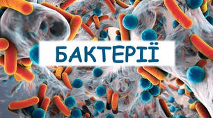 Природознавство. Бактерії.