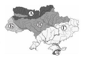 0100bxu9-456b-398x266.jpg
