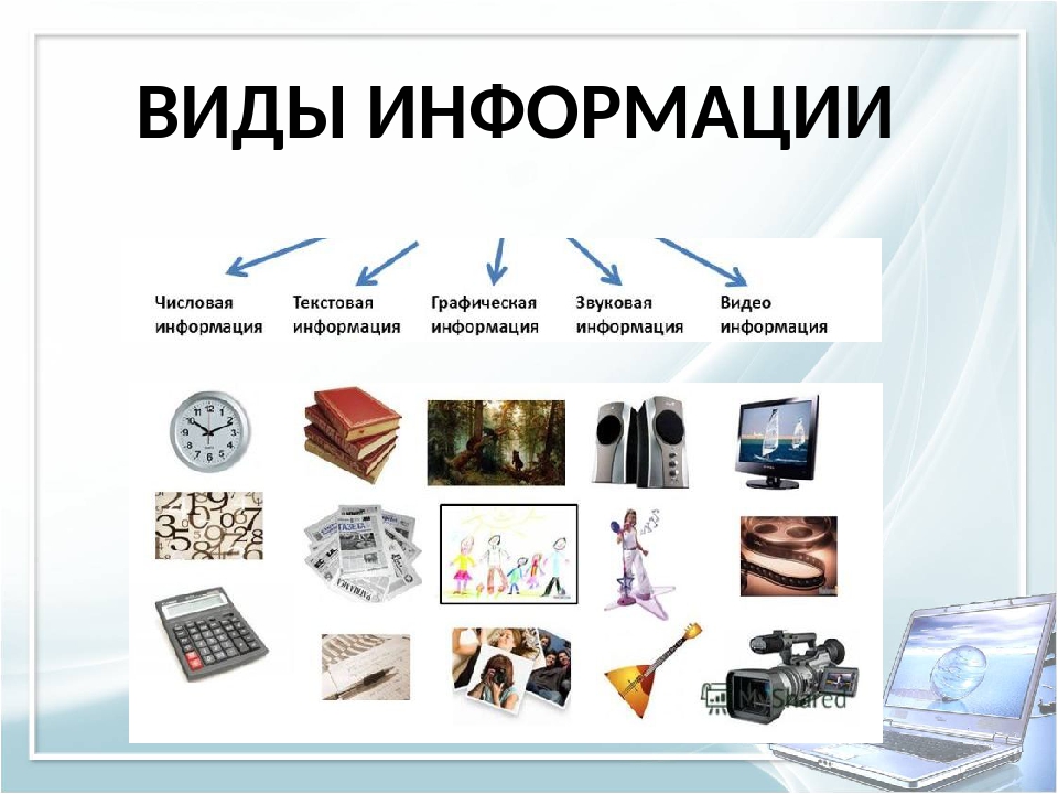 5 видов информации. Все виды информации. Виды звуковой информации. Виды информации фото.