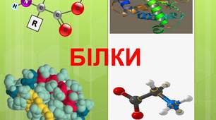 (Копія) (Копія) АМІНОКИСЛОТИ. БІЛКИ