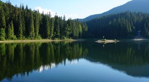 Середовища життя. Наземно-повітряне та водне 