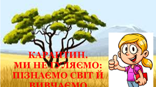 Презентація 1 «Карантин. Ми не гуляємо: пізнаємо світ й вивчаємо»