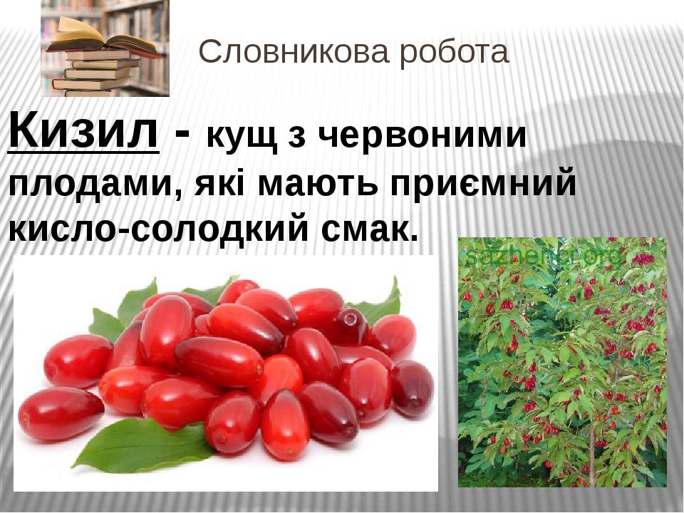 Презентація на тему: "Звук [з][з‘]. Буква З(«зе»)" | Презентація. НУШ