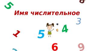  Имя числительное. Местоимение