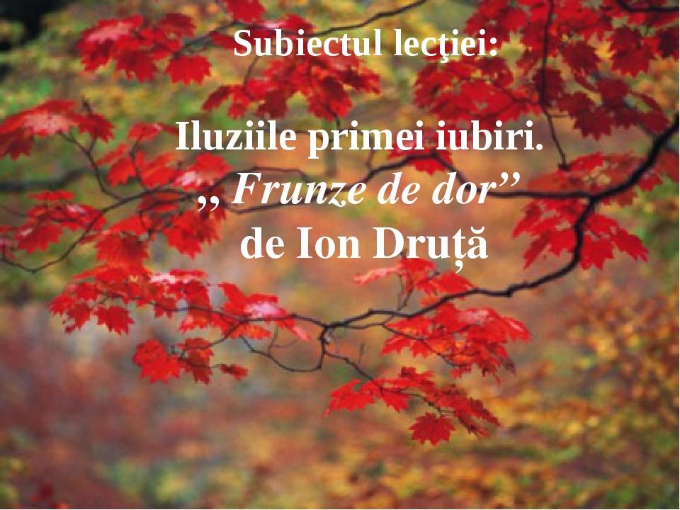 Rezumatul Romanului Frunze De Dor Prezenta?ie : ” Ion Dru??, romanul ”Frunze de dor”
