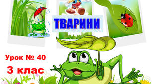 Контрольна робота  "Тварини" 3  клас