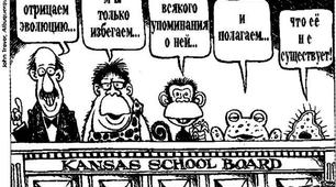 Эволюция органического мира