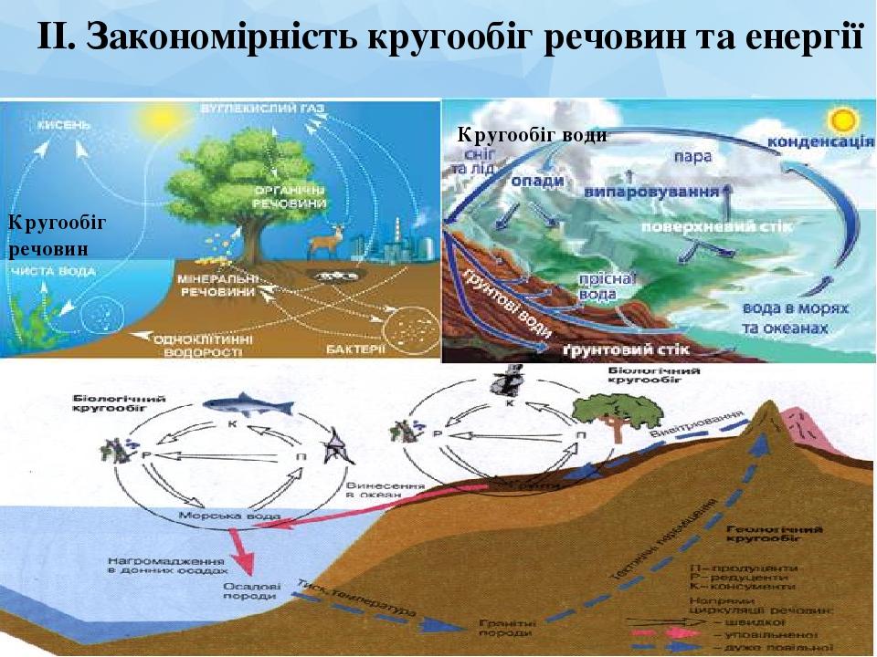 Кругообіг речовин Кругообіг води ІІ. Закономірність кругообіг речовин та енергії