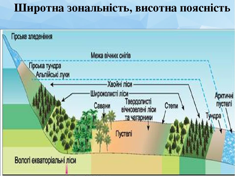 Широтна зональність, висотна поясність