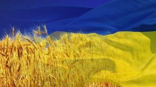 Україна: територія, політико-географічне положення,устрій
