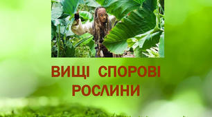 Вищі спорові рослини