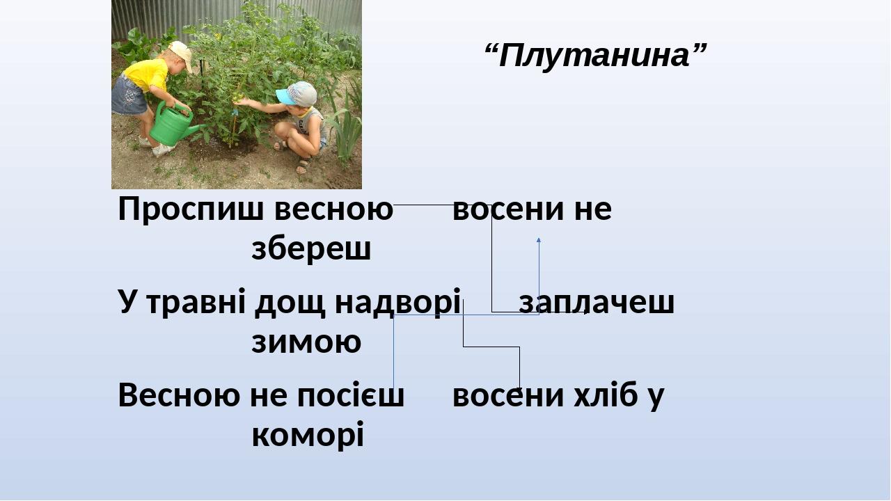 Проспиш весною восени не збереш У травні дощ надворі заплачеш зимою Весною не посієш восени хліб у коморі “Плутанина”