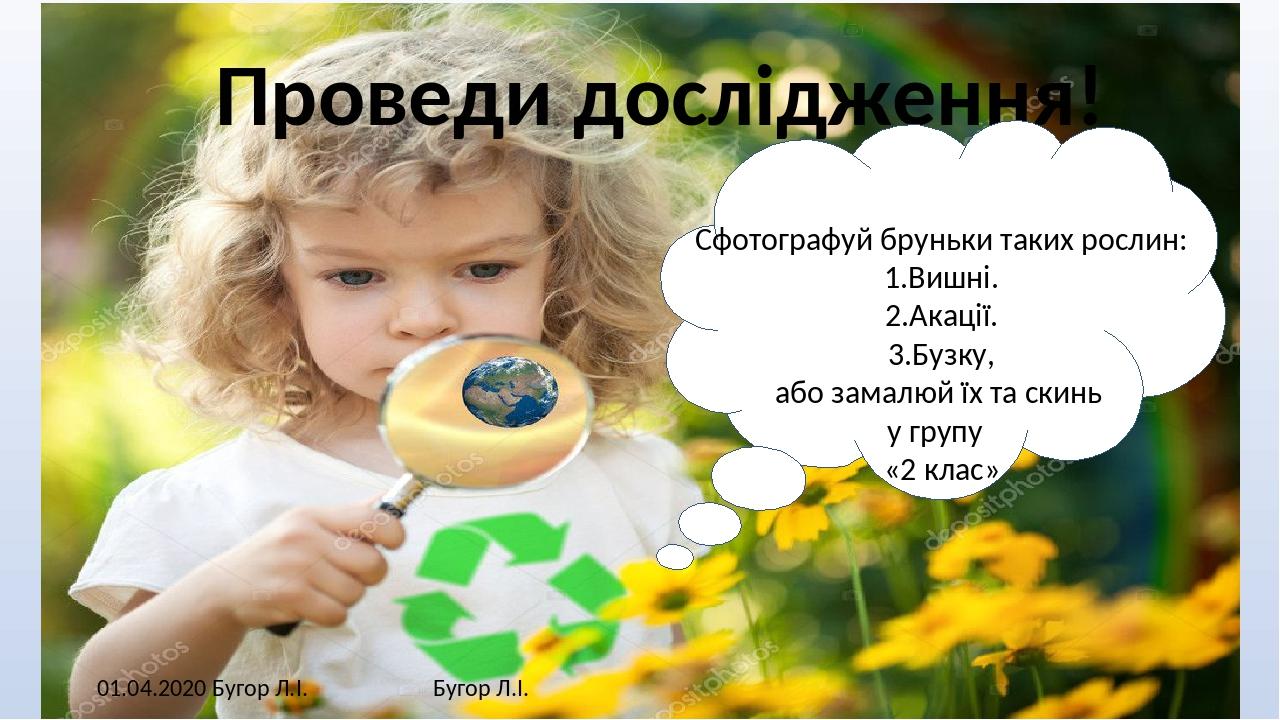01.04.2020 Бугор Л.І. Бугор Л.І. Проведи дослідження! Сфотографуй бруньки таких рослин: 1.Вишні. 2.Акації. 3.Бузку, або замалюй їх та скинь у групу...