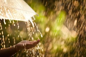 GISMETEO.RU: Почему дождь так хорошо пахнет? - События | Новости ...