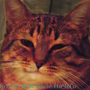 https://fs01.vseosvita.ua/0100cco1-f16e-90x90.png