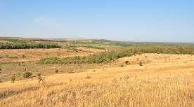 Природні зони України. Степ.