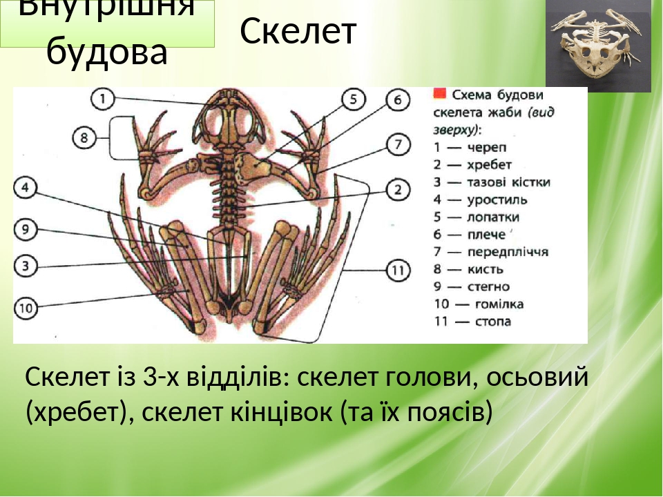 Проанализируйте свое отношение к учебе составьте рассказ о своей учебе используя следующий план впр