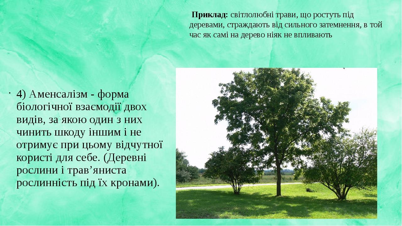 4) Аменсалізм - форма біологічної взаємодії двох видів, за якою один з них чинить шкоду іншим і не отримує при цьому відчутної користі для себе. (Д...