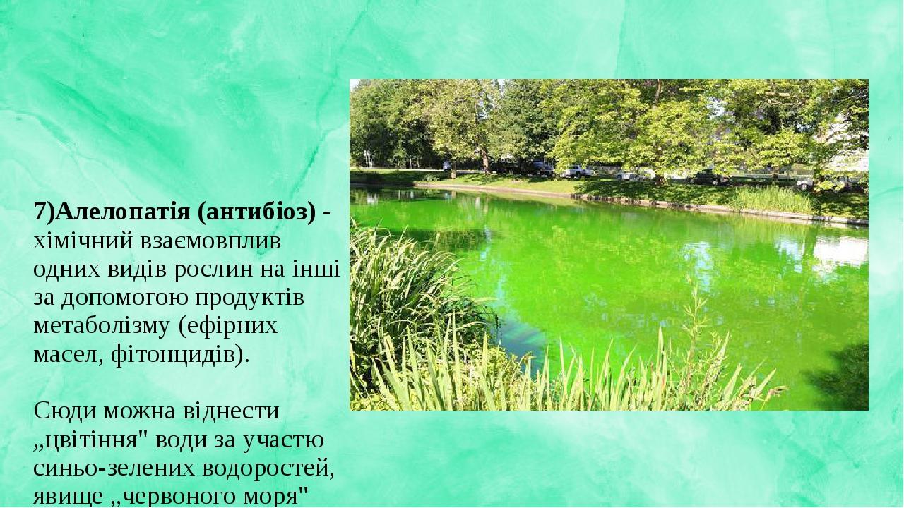 7)Алелопатія (антибіоз) - хімічний взаємовплив одних видів рослин на інші за допомогою продуктів метаболізму (ефірних масел, фітонцидів). Сюди можн...