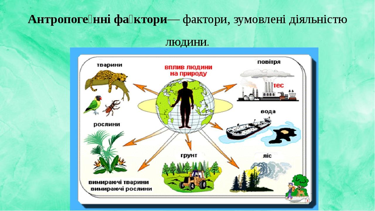 Антропоге́нні фа́ктори— фактори, зумовлені діяльністю людини.