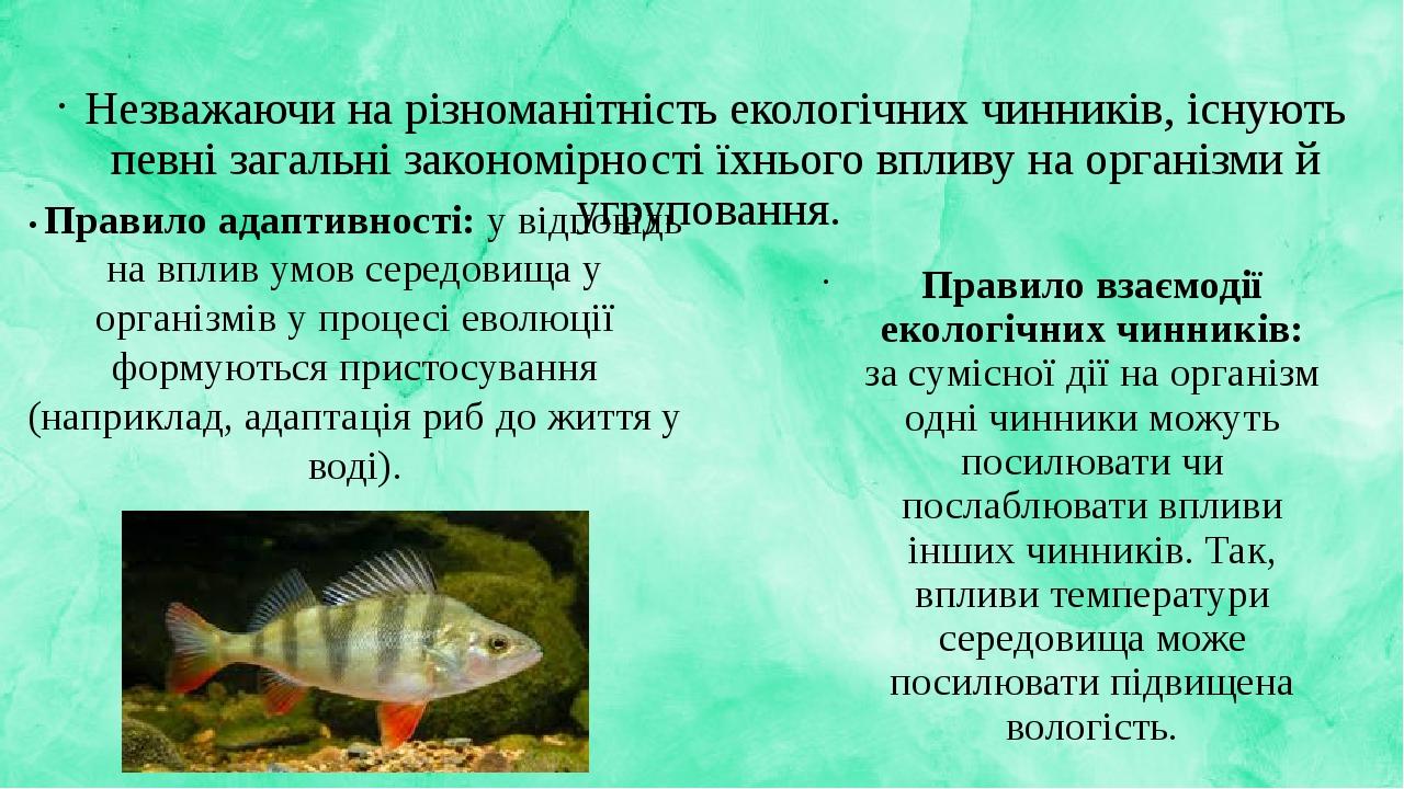 Незважаючи на різноманітність екологічних чинників, існують певні загальні закономірності їхнього впливу на організми й угруповання. • Правило адап...