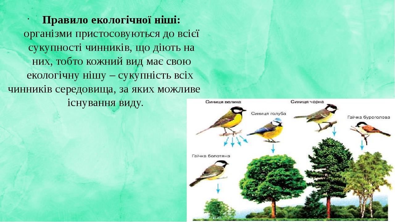 Правило екологічної ніші: організми пристосовуються до всієї сукупності чинників, що діють на них, тобто кожний вид має свою екологічну нішу – суку...