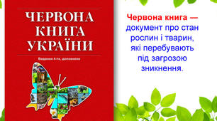 Навчальний проект "Червона книга України. Створення сторінки Книги скарг природи"