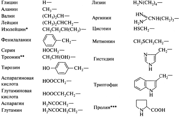 Какие функциональные группы аминокислот. Радикалы аминокислот таблица. Классификация радикалов аминокислот таблица. Функциональные группы радикалов аминокислот. Таблица аминокислотных радикалов.