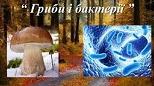 Перевір свої знання