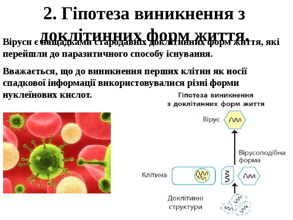 2. Гіпотеза виникнення з доклітинних форм життя. Віруси є нащадками стародавніх доклітинних форм життя, які перейшли до паразитичного способу існув...