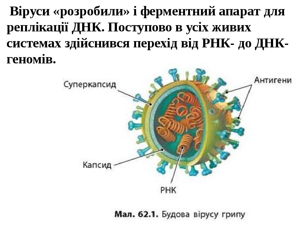 Віруси «розробили» і ферментний апарат для реплікації ДНК. Поступово в усіх живих системах здійснився перехід від РНК- до ДНК-геномів.