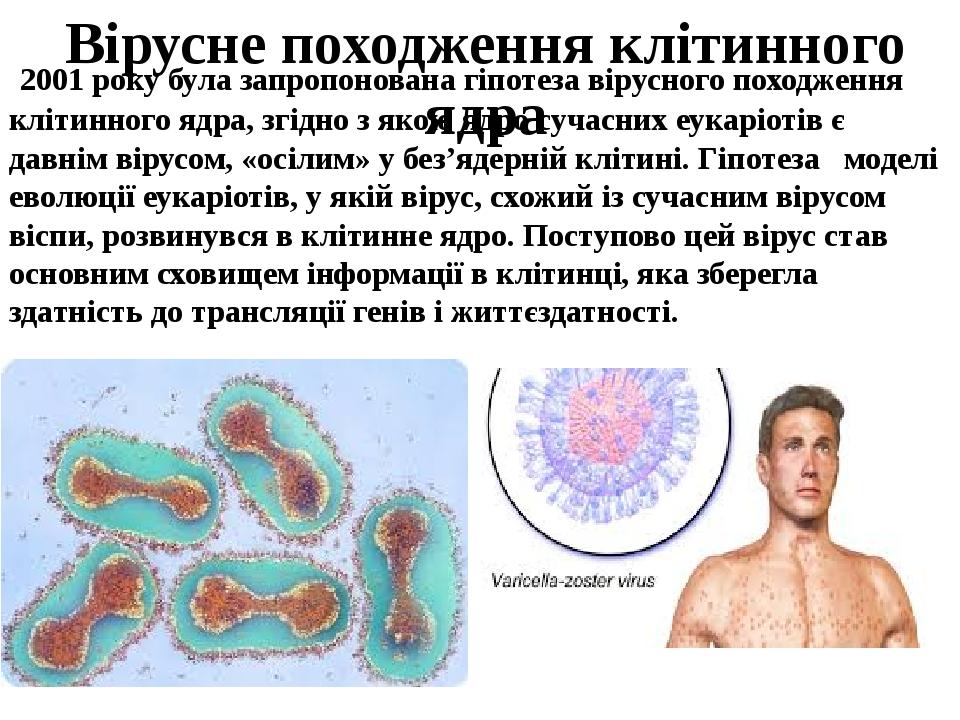 Вірусне походження клітинного ядра 2001 року була запропонована гіпотеза вірусного походження клітинного ядра, згідно з якою ядро сучасних еукаріот...
